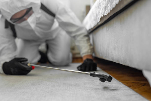 Professional Pest Control technician working in Crawford County County, MO